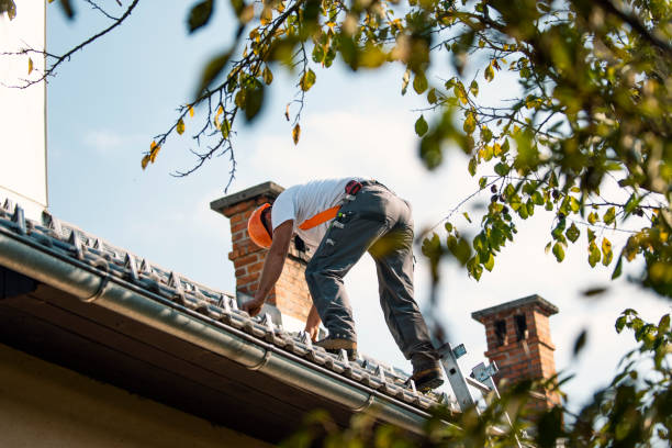 Best Metal Roofing Contractor  in Westbrook, ME